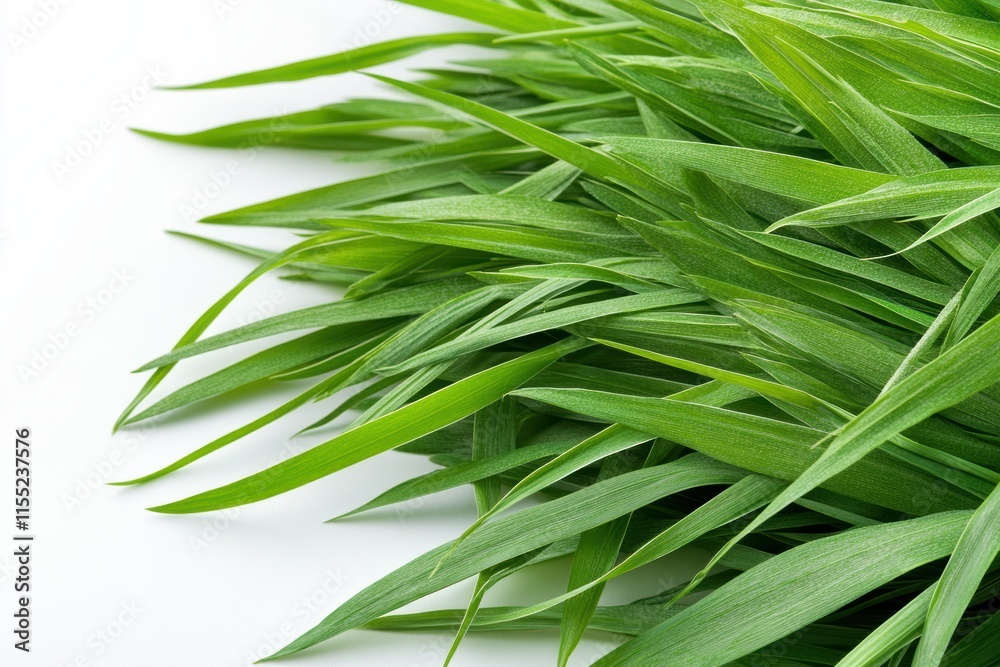 Fresh, vibrant green grass is absolutely ideal for enhancing your Easter decor and celebration, creating a joyful atmosphere for family and community gatherings during this special holiday season Fresh, vibrant green grass is absolutely ideal for enhancing your Easter decor and celebration, creating a joyful atmosphere for family and community gatherings during this special holiday season