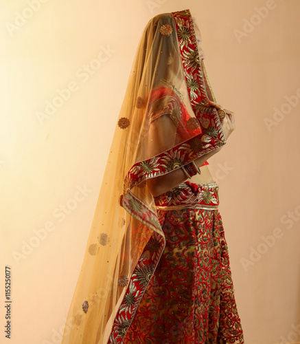 Side face of Indian Bridal in traditional cloths.  photo