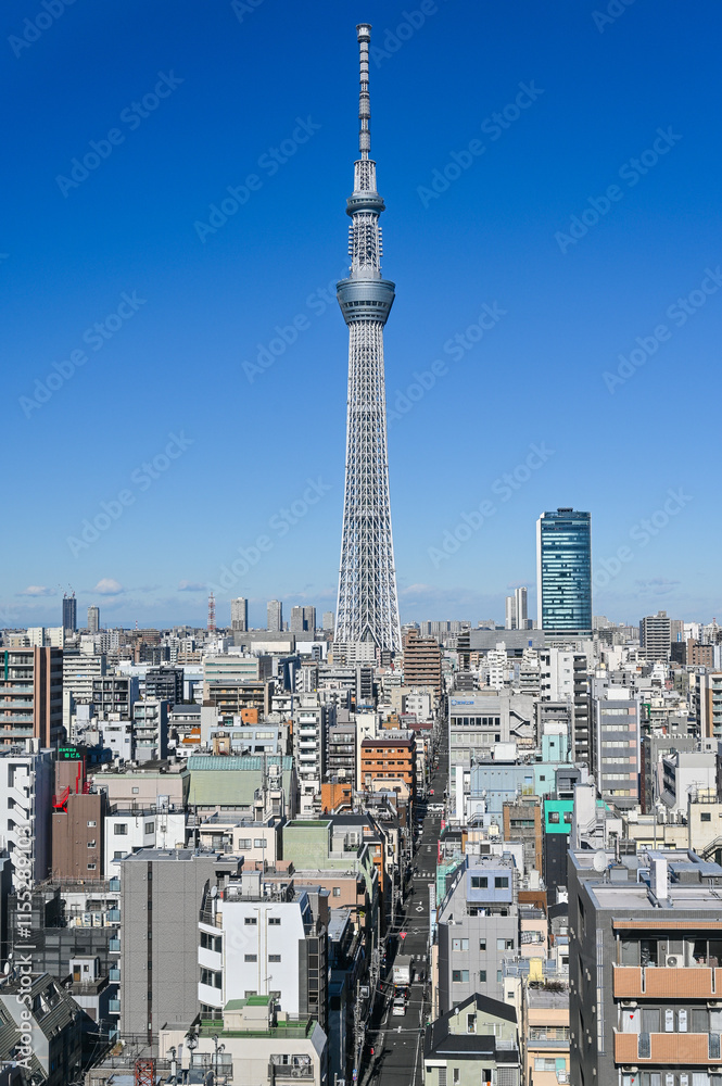 Naklejka premium 東京の都市風景