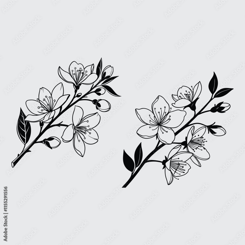 Jasmine flower image silhouette vector art and illustration Jasmine flower image silhouette vector art and illustration