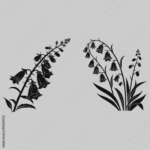 foxglove flower silhouette vector design art and illustration
