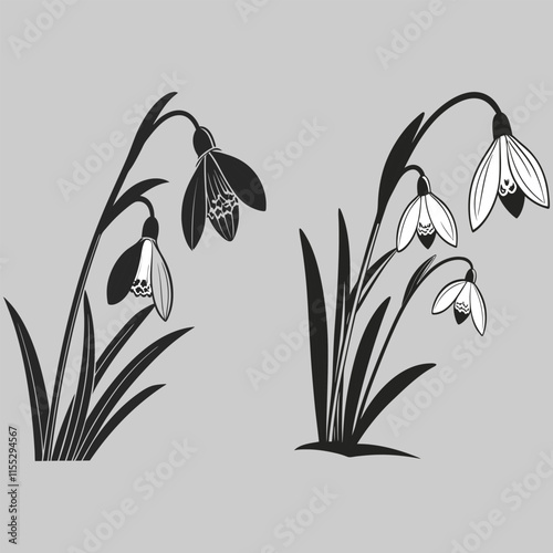 snowdrop flower silhouette vector design art and illustration