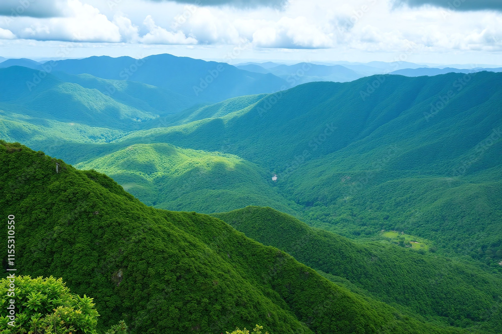 Fototapeta premium Mountainous region landscape hills mountains vegetation growth green