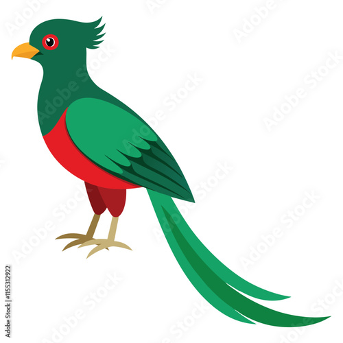 Quetzal bird illustration 