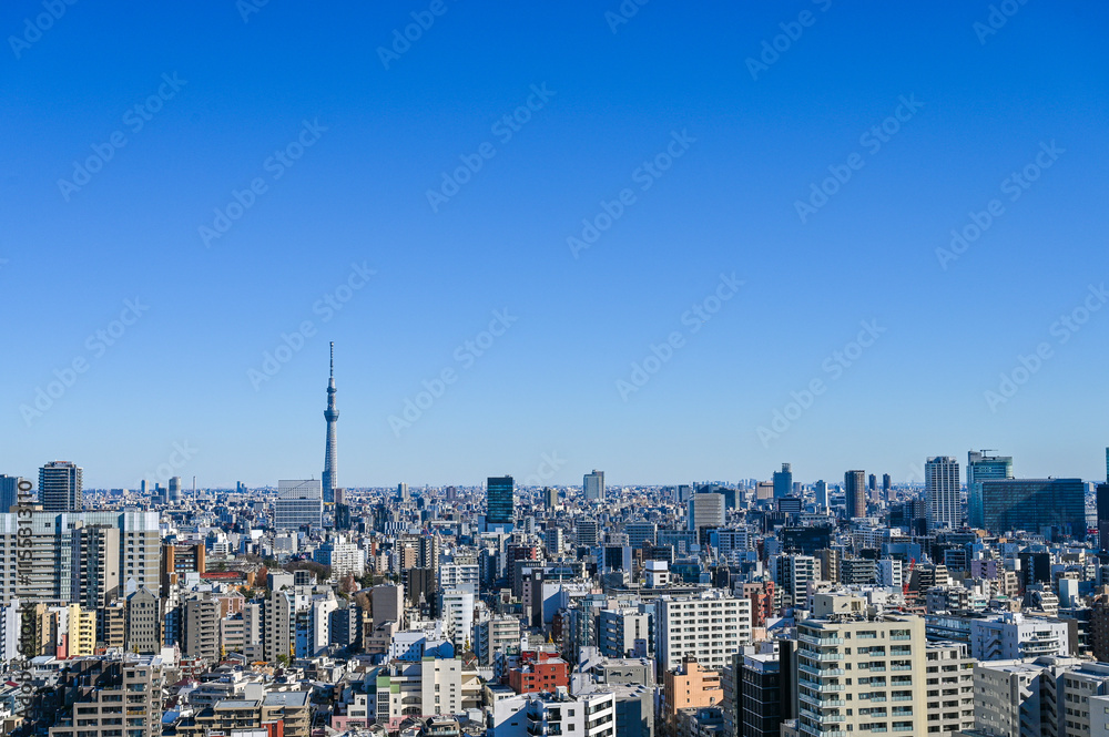 Fototapeta premium 東京都の都市風景とスカイツリー
