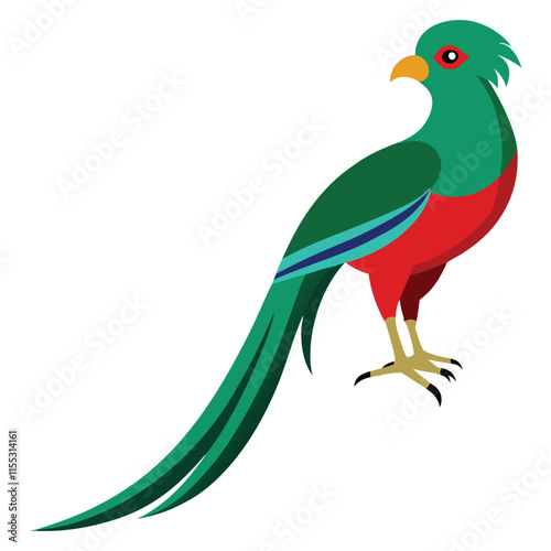 Quetzal bird illustration 