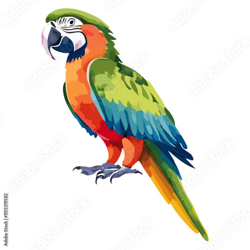 Parrot watercolor painting. vector illustration. wildlife isolated cartoon