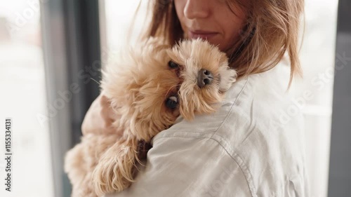 Close-up of a loving owner hugging their adorable dog, evoking warmth, care, and companionship.