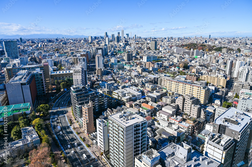 Obraz premium 東京の都市風景