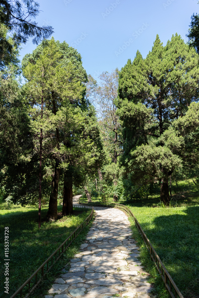 Flagstone path of cypress forest in Summer Palace, Beijing, China Flagstone path of cypress forest in Summer Palace, Beijing, China
