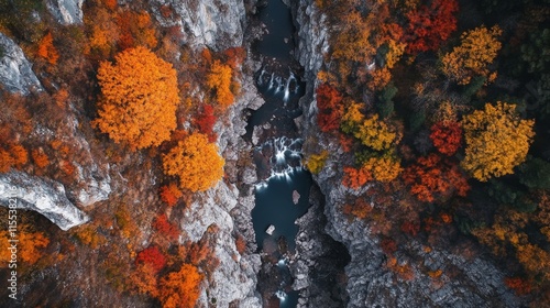 Autumnal Canyon Majesty photo