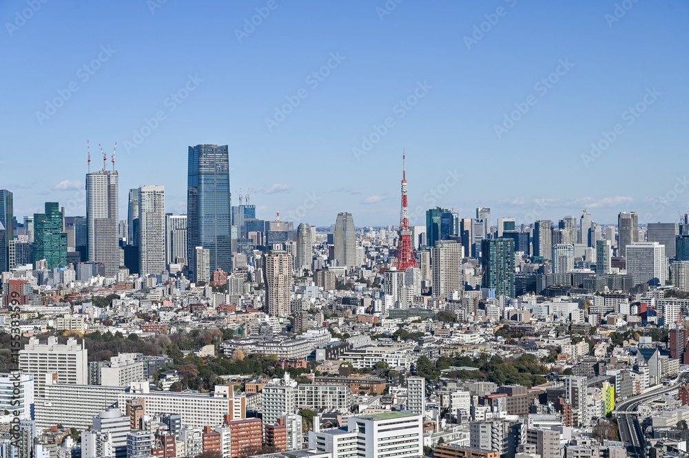 Fototapeta premium 東京の都市風景