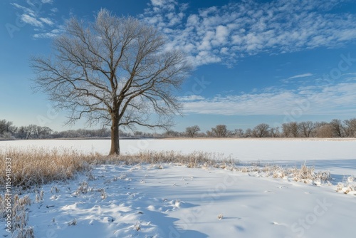 Wallpaper Mural A solitary tree stands resiliently in a vast snow-covered landscape, capturing the stark beauty and quiet solitude of a serene winter scene. Torontodigital.ca