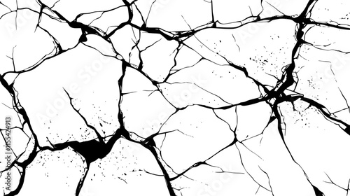 Black and white cracked texture. Branched lines. Cracks and scratches. Textured pattern resembling dry earth or damaged wall. Vector illustration for grunge designs.