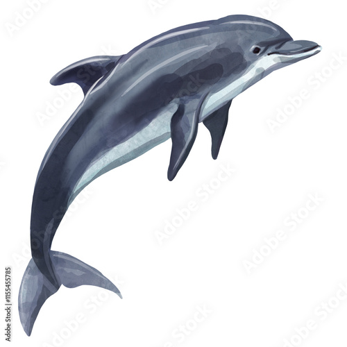 Wallpaper Mural dolphin jumping  Torontodigital.ca