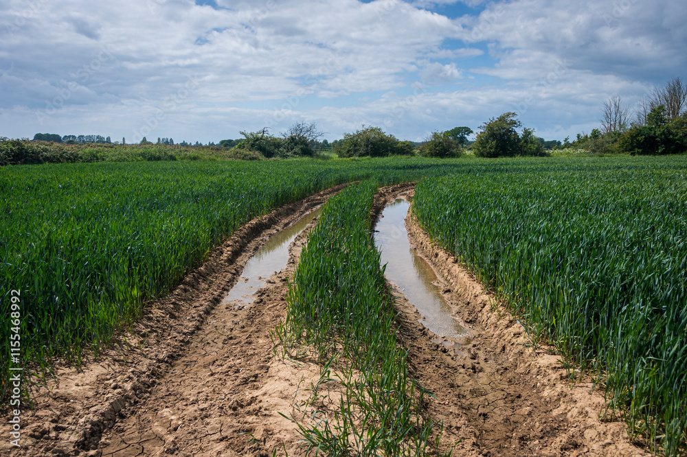 Fototapeta premium Muddy tyre tracks in a field.