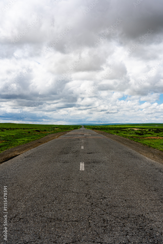 Fototapeta premium road in Mongolia