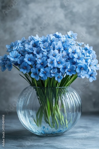 Bouquet of blue puschkinias blooming in round glass vase on gray background photo