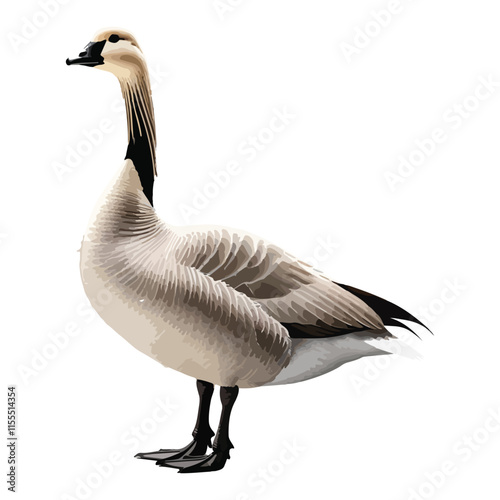 A goose isolated over transparent background