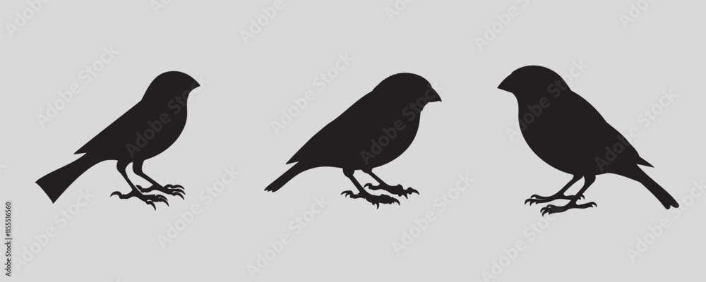 Silhouettes of three finch birds in profile on a gray background Silhouettes of three finch birds in profile on a gray background
