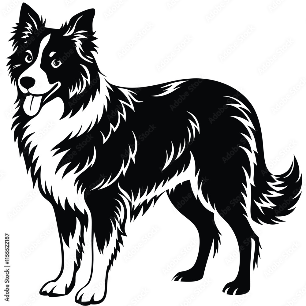 Fototapeta premium a Border Collie dog vector silhouette, white background,