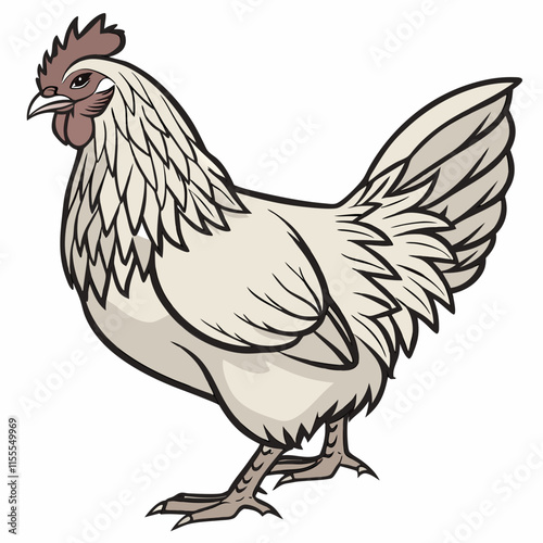 The Brahma chicken is a majestic, large poultry breed known for its friendly nature and impressive size.