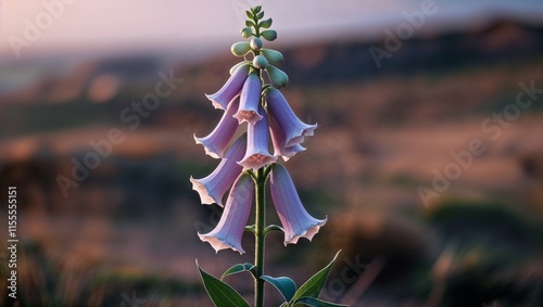 BeautifulFlowers, FlowerImages, FloralPhotos, BloomingNature  
 photo