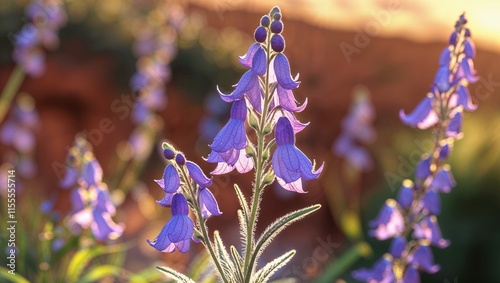 BeautifulFlowers, FlowerImages, FloralPhotos, BloomingNature  
 photo