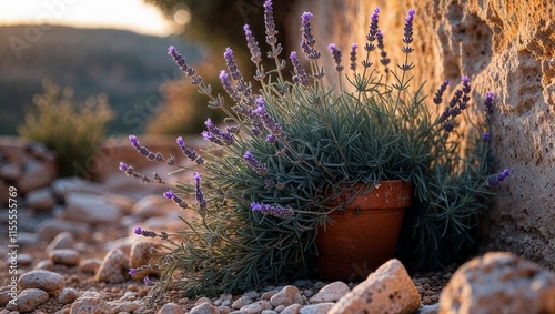 BeautifulFlowers, FlowerImages, FloralPhotos, BloomingNature  
 photo