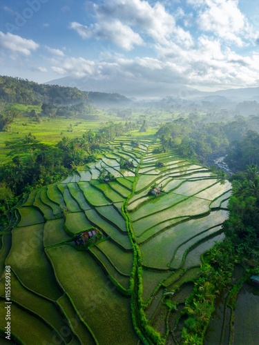 A Bali Countryside - Rice Fields and Mount Agung in the clouds. Tropical Nature and Sustainable Agriculture aerial view