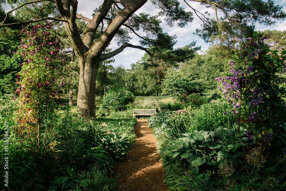 Naklejka premium Serene garden path with vibrant flowers.
