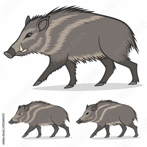 Peccaries are wild, pig-like mammals found in the Americas, often with distinctive tusks and a unique, rugged appearance.