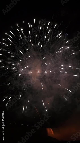Grand Fireworks Explosion Illuminating the Sky expansive firework explosion spreading luminous trails across the night sky, epitomizing celebration and festivity. firework explosion photo