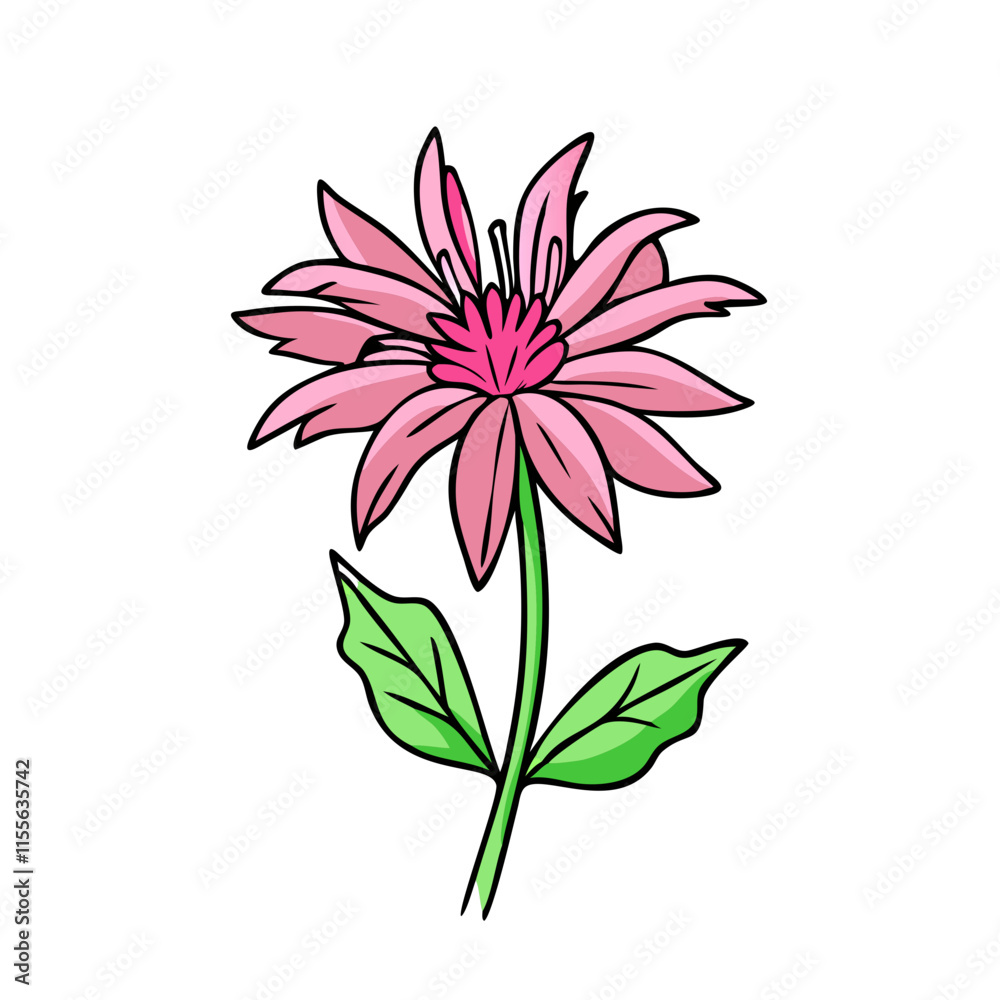 Obraz premium bee balm flower illustration, flower vector art, flower icon - Minimalistic flat illustration of bee balm flower flower, perfect for icons, logos, and floral-themed designs.