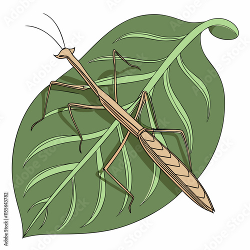  A realistic stick insect camouflaged on a large green leaf, showcasing nature’s intricate design.