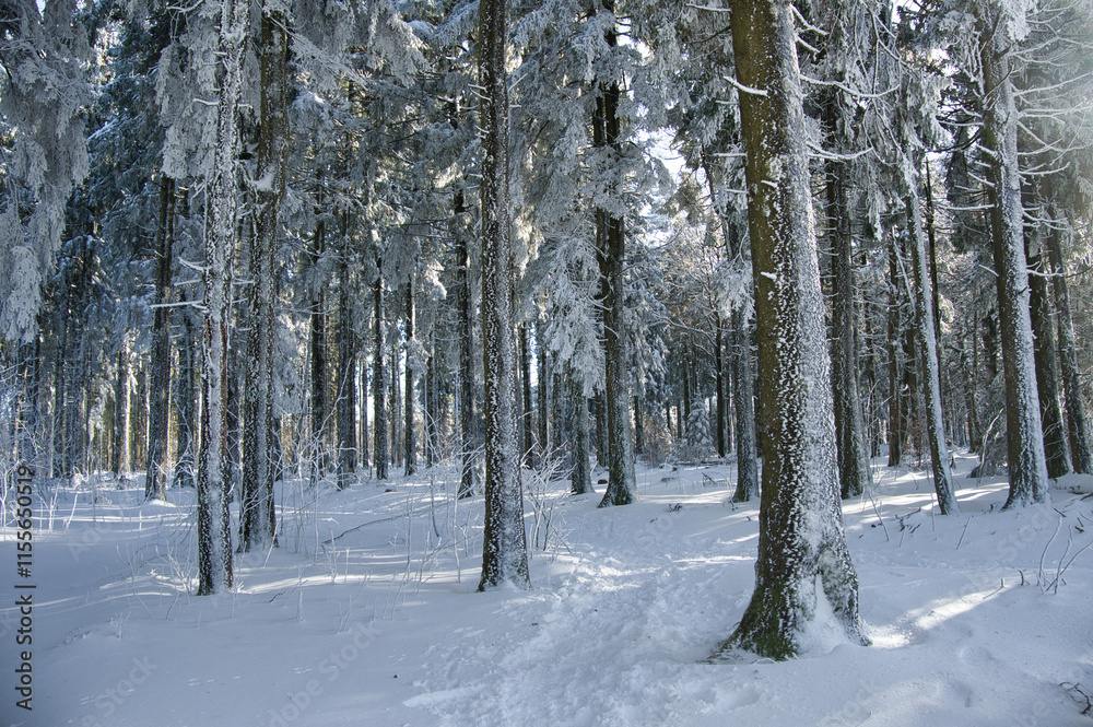 Winter auf dem Champ du Feu in den Vogsen Winter auf dem Champ du Feu in den Vogsen