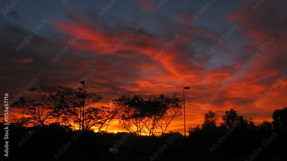 Fototapeta premium sunset over the forest