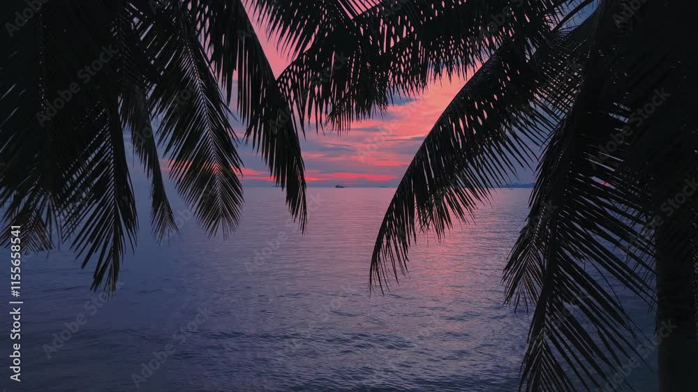 Romantic time after sunset by sea. Cinematic aerial video camera moves through silhouettes of palm trees to sea, showing incredible pink tropical sunset on sea. Vacation concept in tropical country. 