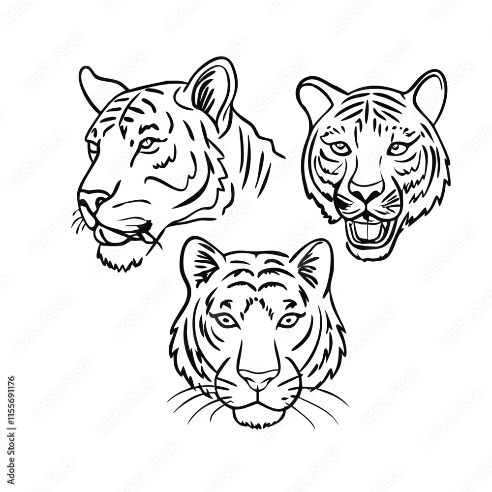 Fototapeta premium tiger head vector illustration