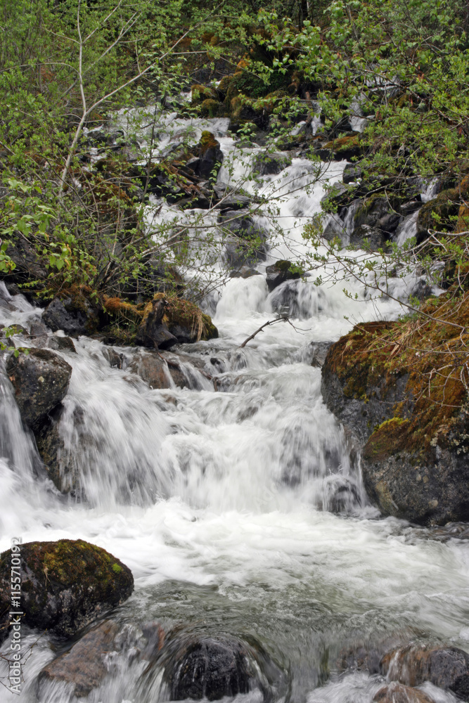 Small waterfall, Tongass National Forest Juneau Alaska USA
