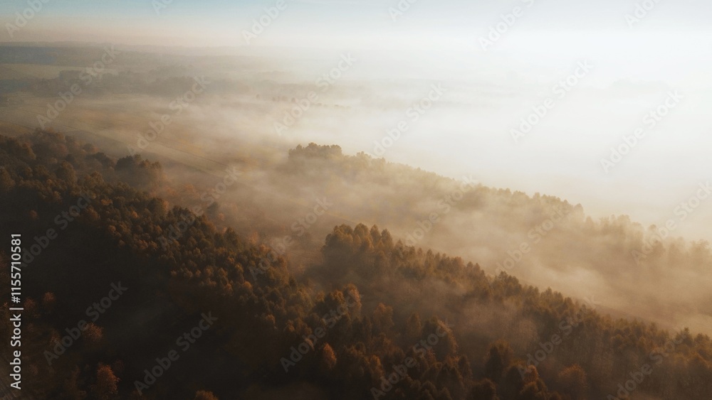 Naklejka premium Foggy autumn fields and forests at sunrise