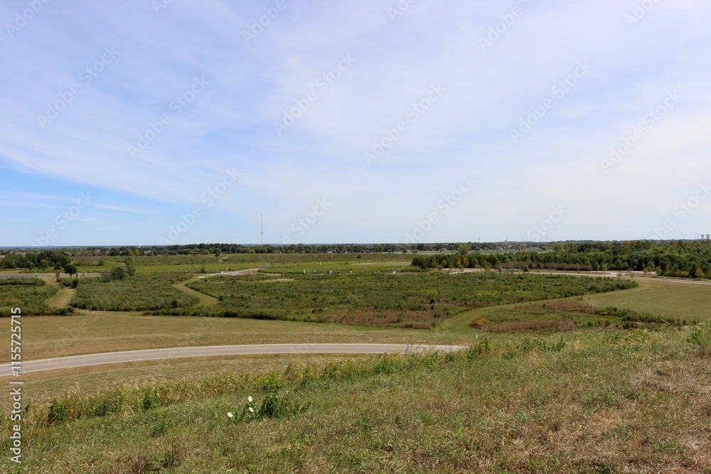 The country landscape on a sunny summer day. The country landscape on a sunny summer day.