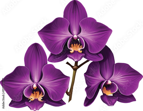 dark purple orchid clipart