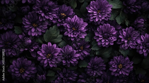 Vibrant purple flowers in full bloom captured in natural daylight showcasing their rich colors and lush green leaves.