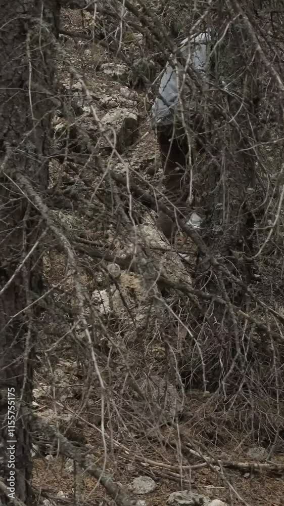 Man climbing jungle Man climbing jungle