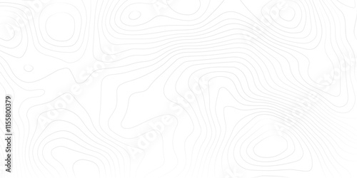 1. "Monochromatic Topography Map with Detailed Contours" A high-resolution black and white topographic map showcasing intricate contour lines, highlighting the elevation changes and natural landscape 