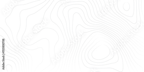 1. "Monochromatic Topography Map with Detailed Contours" A high-resolution black and white topographic map showcasing intricate contour lines, highlighting the elevation changes and natural landscape 