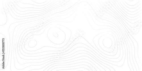 1. "Monochromatic Topography Map with Detailed Contours" A high-resolution black and white topographic map showcasing intricate contour lines, highlighting the elevation changes and natural landscape 