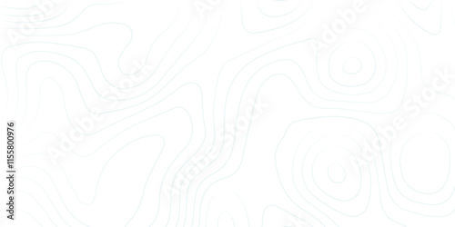 1. "Monochromatic Topography Map with Detailed Contours" A high-resolution black and white topographic map showcasing intricate contour lines, highlighting the elevation changes and natural landscape 