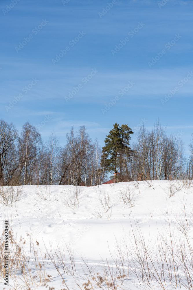 A snowy landscape with bare trees and dry reeds contrast against the bright white snow, with a clear blue sky adding depth to the serene winter scene